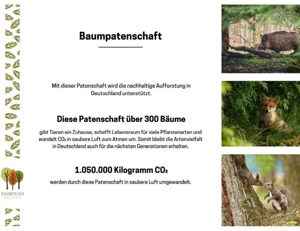 baumpatenschaft-baumpaten-deutschland-zertifikat-good-paragon